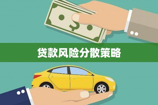 红星贷款风险分散策略