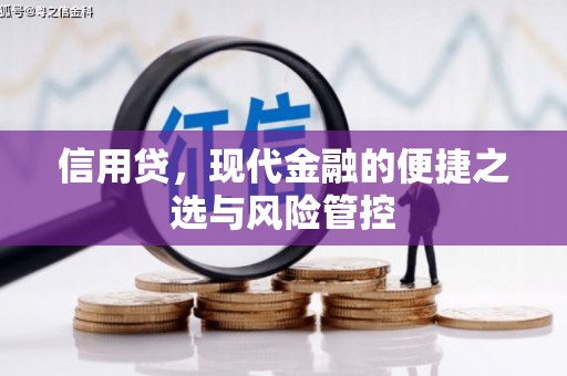 中坜信用贷，现代金融的便捷之选与风险管控
