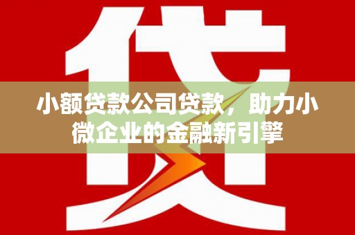 依兰小额贷款公司贷款，助力小微企业的金融新引擎