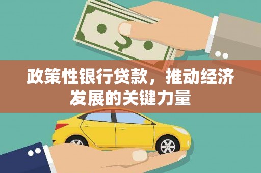 六甲政策性银行贷款，推动经济发展的关键力量