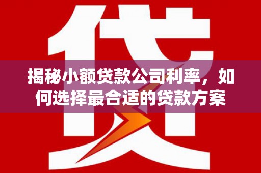 龙陵揭秘小额贷款公司利率，如何选择最合适的贷款方案