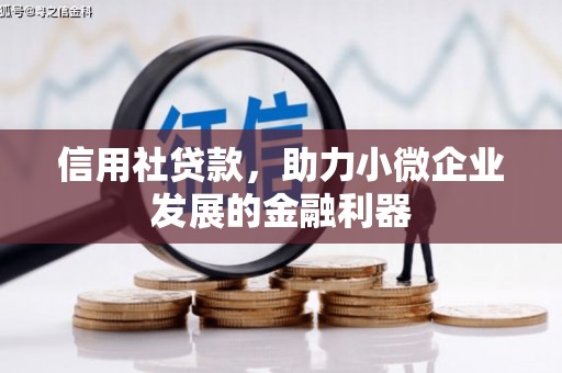 驿城信用社贷款，助力小微企业发展的金融利器