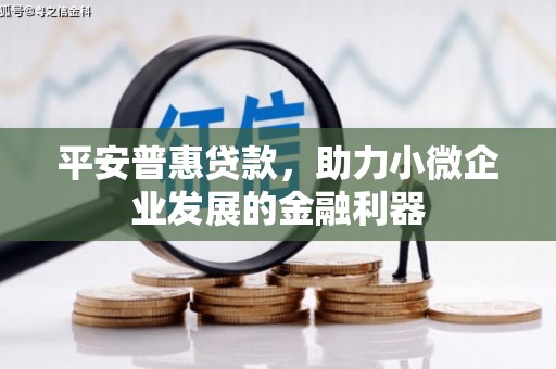 砀山平安普惠贷款，助力小微企业发展的金融利器
