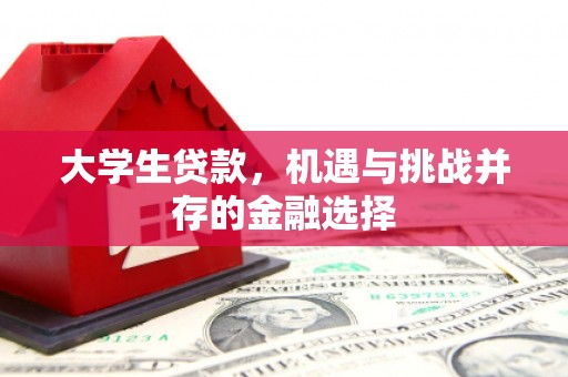 蕉城大学生贷款，机遇与挑战并存的金融选择