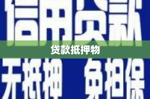 东方贷款抵押物