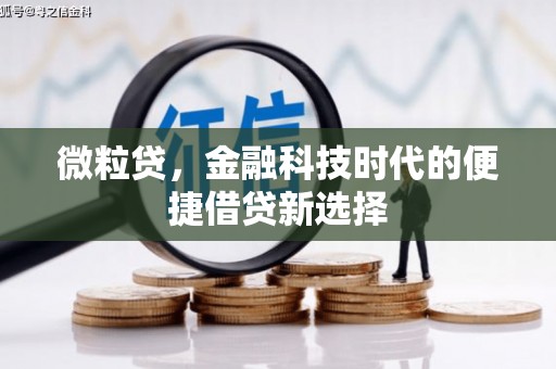 正宁微粒贷，金融科技时代的便捷借贷新选择