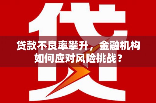 茂林贷款不良率攀升，金融机构如何应对风险挑战？