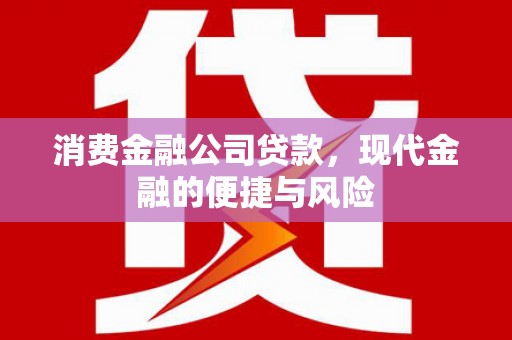 丘北消费金融公司贷款，现代金融的便捷与风险