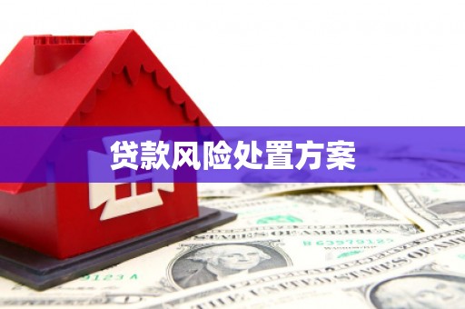 杞县贷款风险处置方案