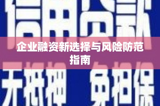 荷塘企业融资新选择与风险防范指南